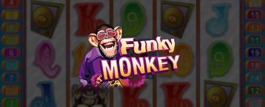 Funny Monkey